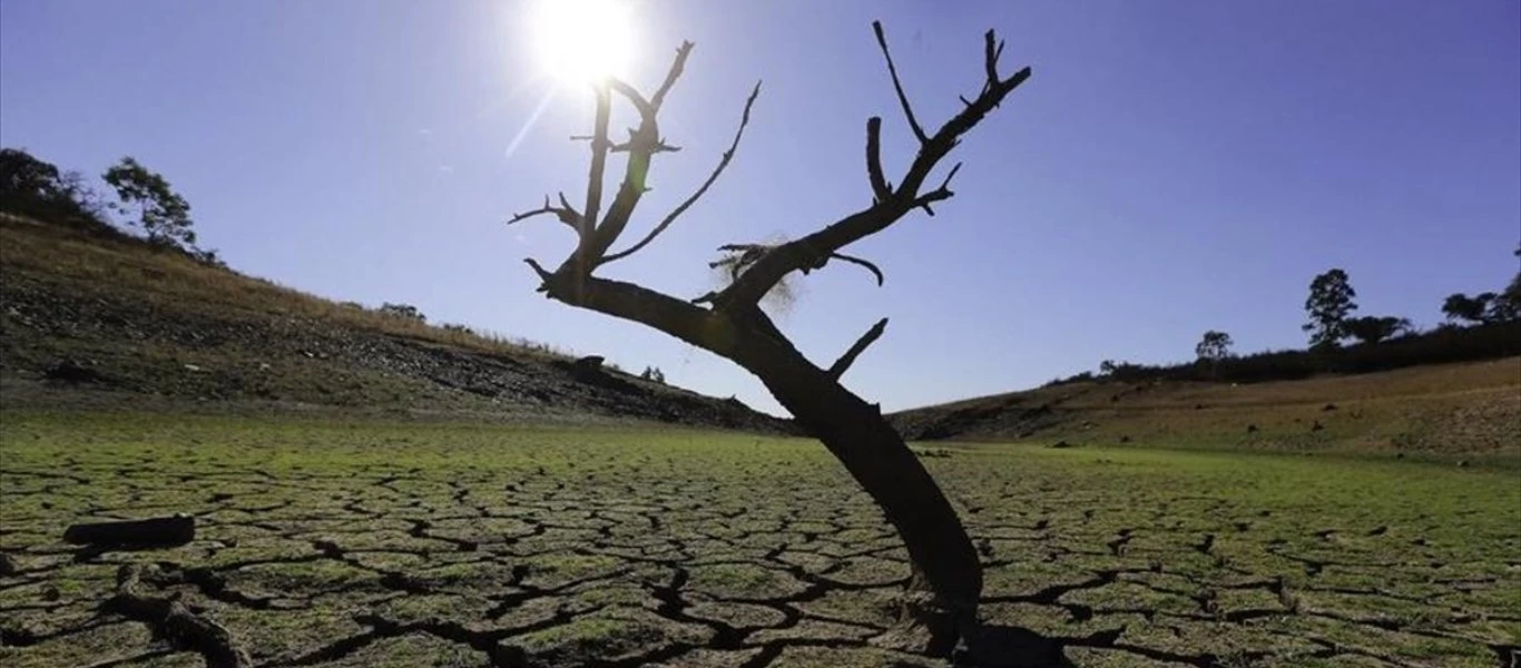 Δυσοίωνη πρόβλεψη από τον ΟΗΕ - Θα εξαφανιστούν 1 εκατ. είδη τις επόμενες δεκαετίες